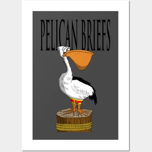 Pelican Briefs Posters and Art